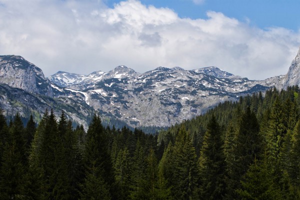 1-img-0724-durmitor-zabljakF2CDF54F-C896-AD20-E7B5-B6654510216E.jpg